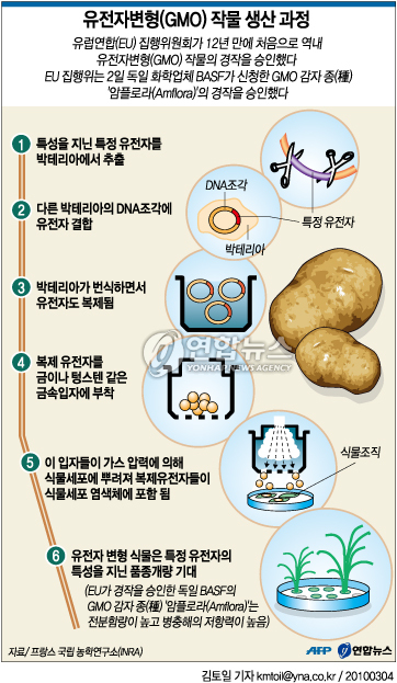 레시피인기