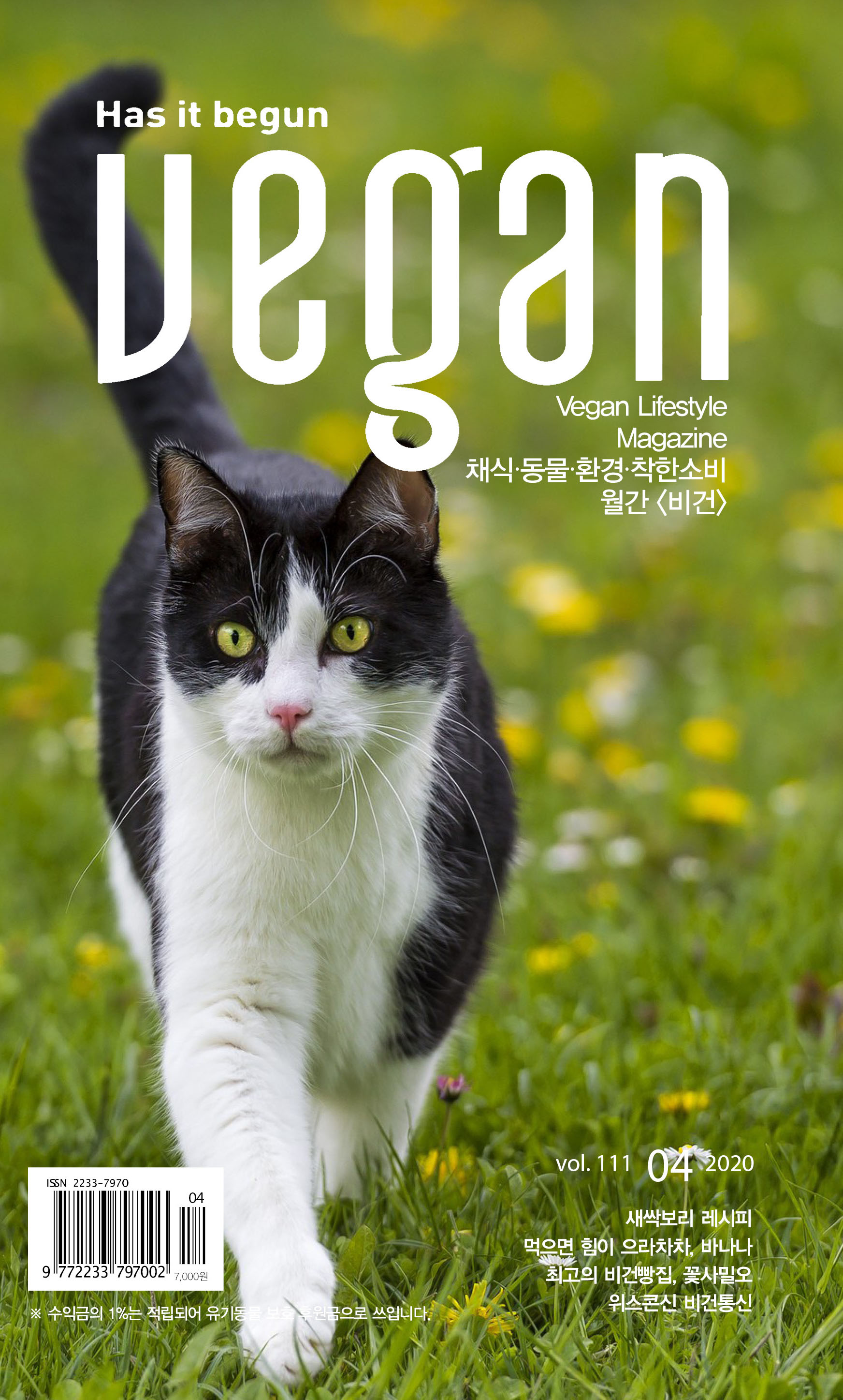 레시피인기